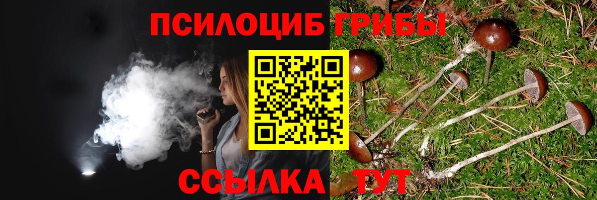 Галлюциногенные грибы Psilocybe  Галлюциногенные грибы Magic Shrooms  Вход с VPN  Жигулёвск 