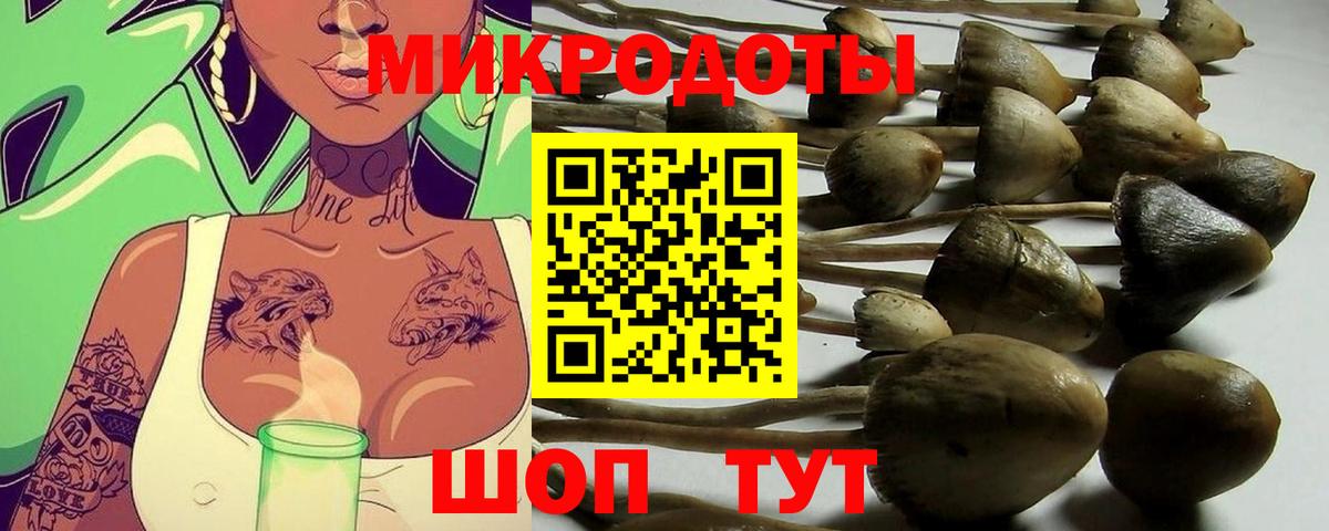 Галлюциногенные грибы ЛСД Жигулёвск